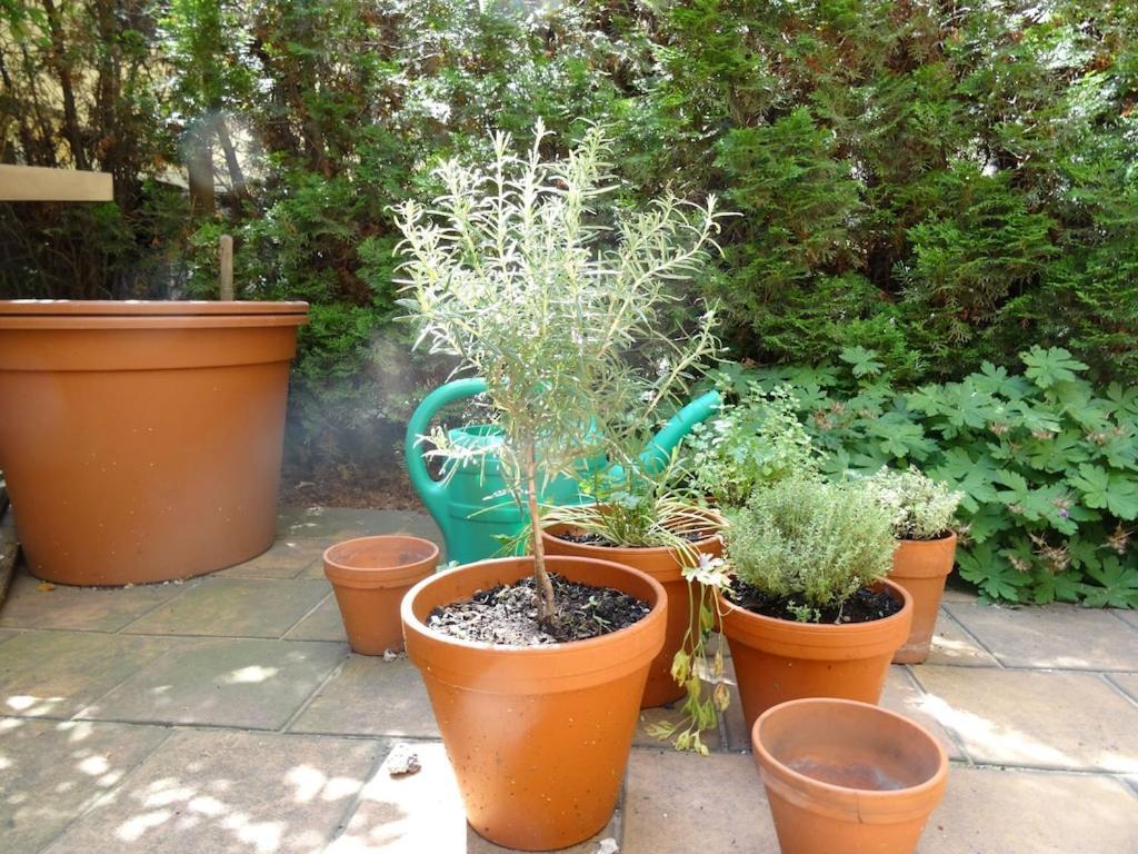 Appartamento Garden On Art Nouveau Street In *